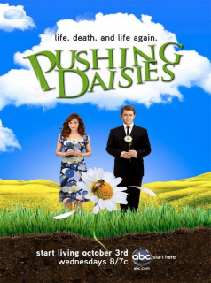 voir serie Pushing Daisies saison 1