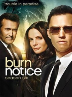 voir serie Burn Notice saison 6
