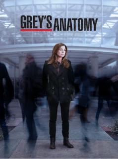 voir Grey's Anatomy saison 11 épisode 24