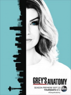 voir Grey's Anatomy Saison 12 en streaming 