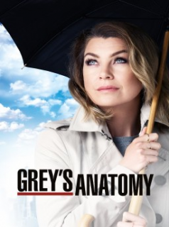 voir Grey's Anatomy saison 13 épisode 17