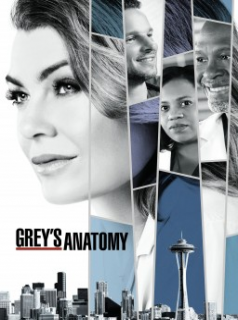 voir Grey's Anatomy Saison 14 en streaming 