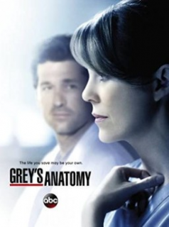 voir Grey's Anatomy saison 9 épisode 19